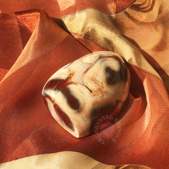 Orca Agate- Carnelian Free Form
